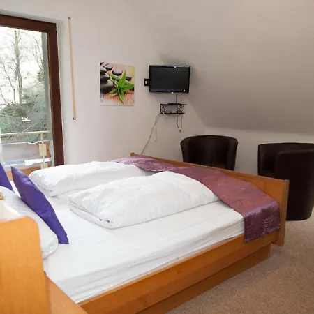 Haus Hoferer Hotel